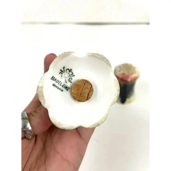 VTG Rosenthal Madeleine Bavarian Porcelain Salt and Pepper Shakers Roses Grapes - Picture 3 of 11